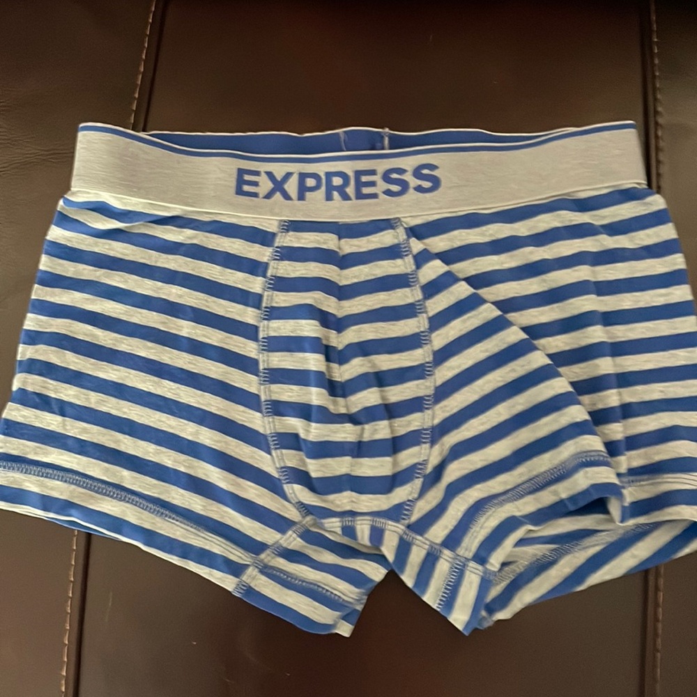 Express Boxer brief gray and blue stripes